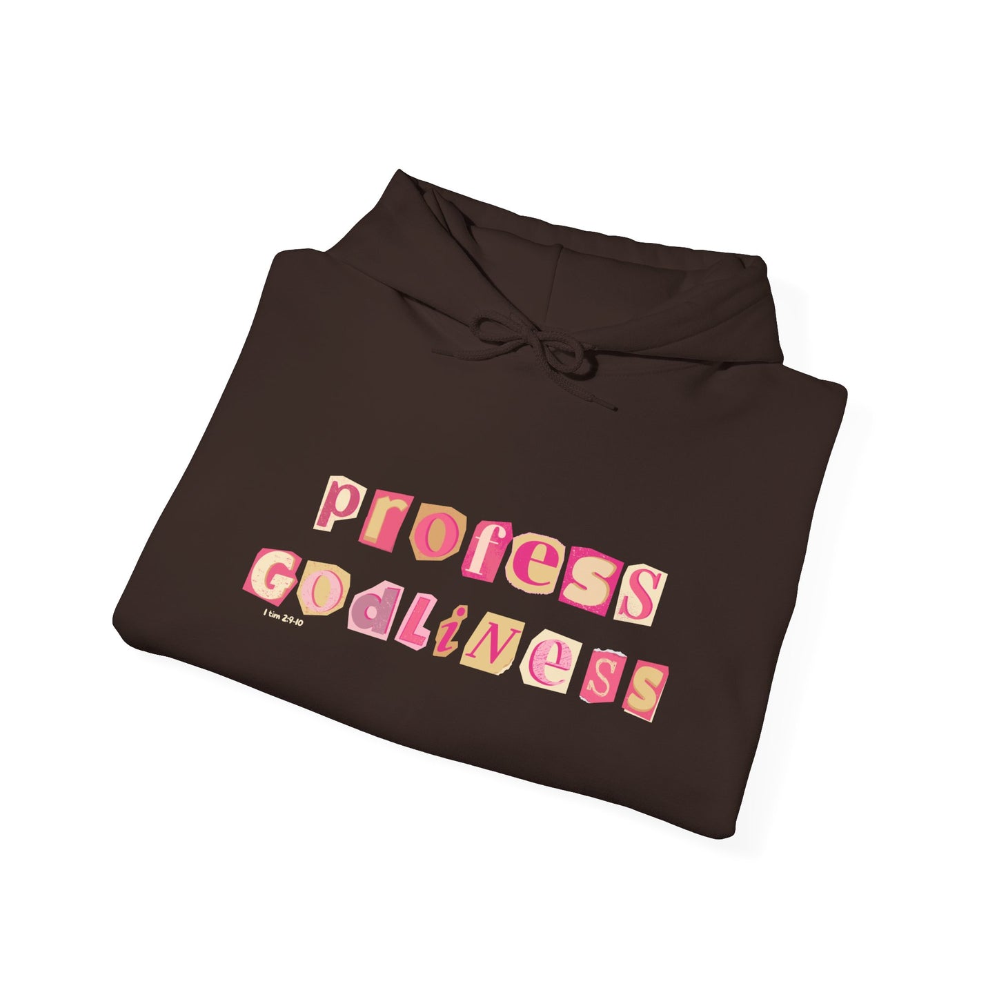 Profess Godliness Hooded Sweatshirt
