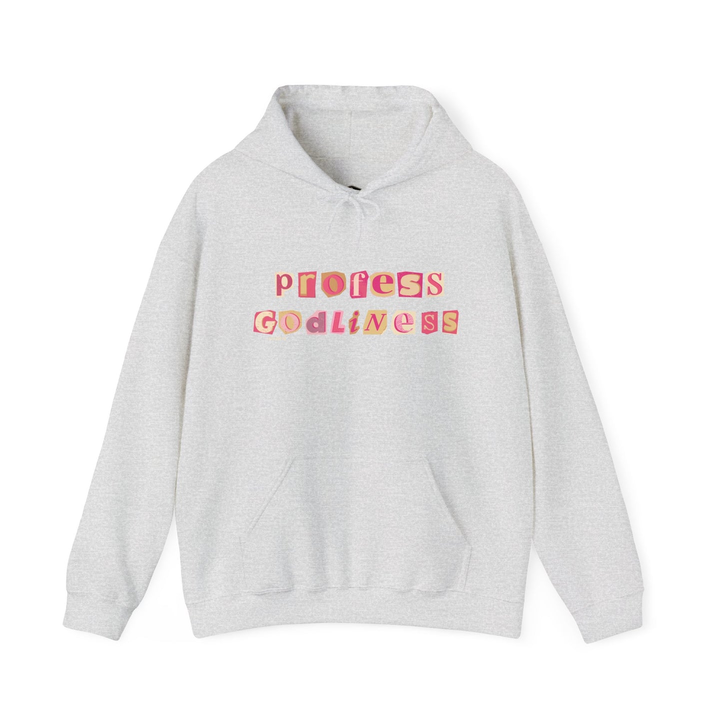 Profess Godliness Hooded Sweatshirt
