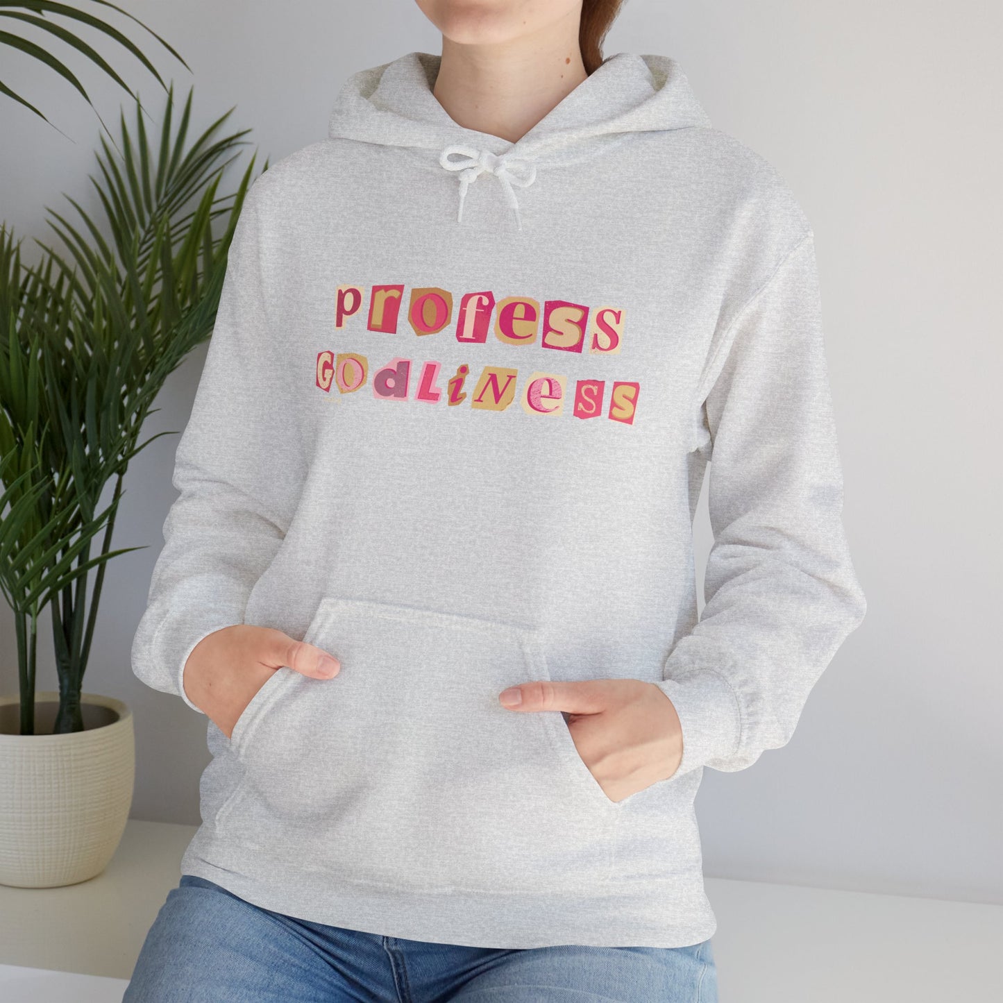 Profess Godliness Hooded Sweatshirt