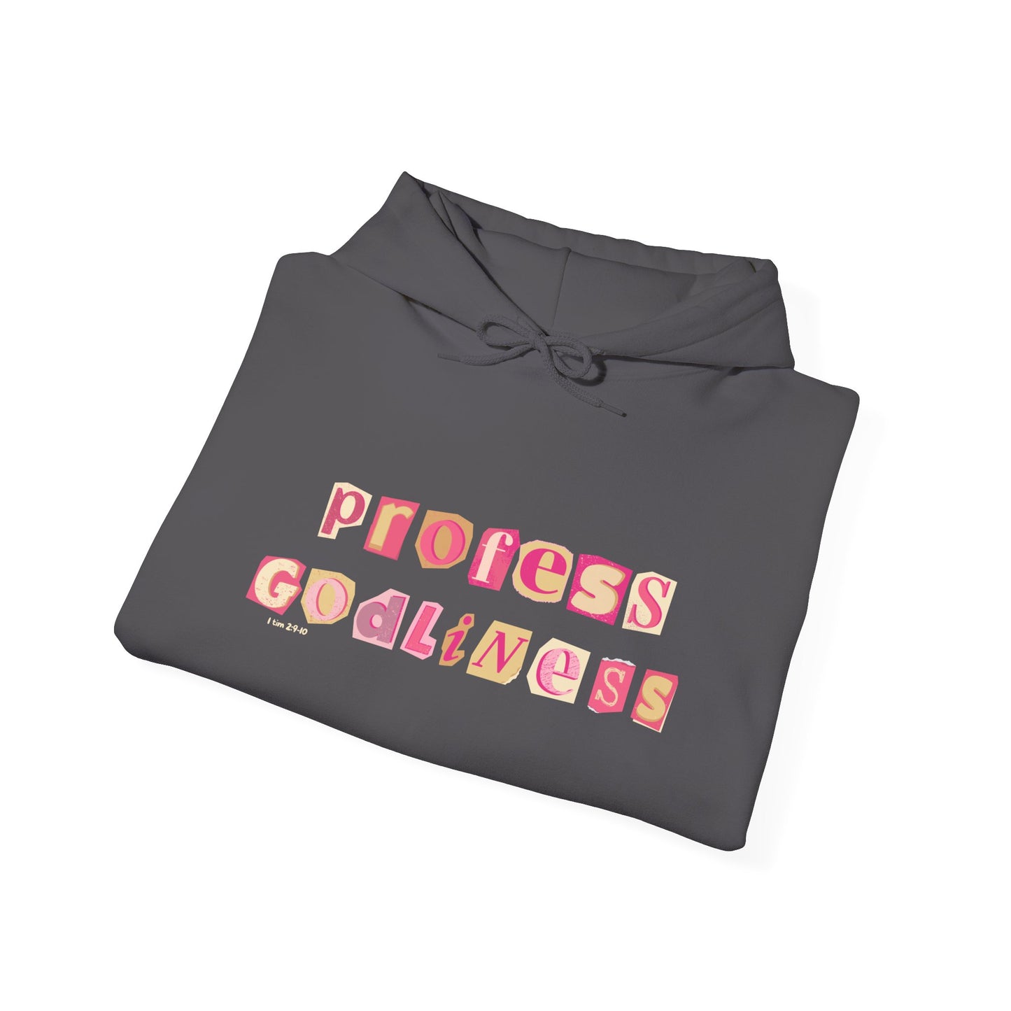 Profess Godliness Hooded Sweatshirt