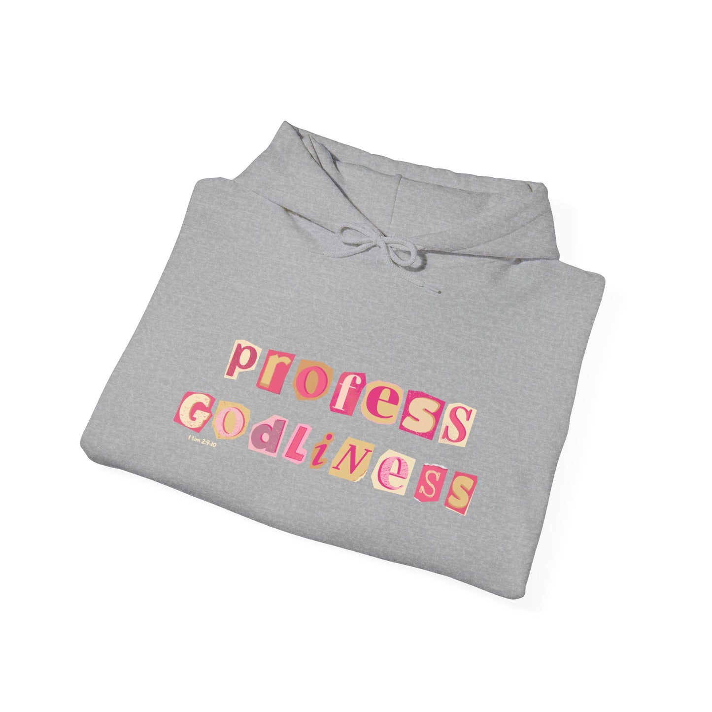 Profess Godliness Hooded Sweatshirt