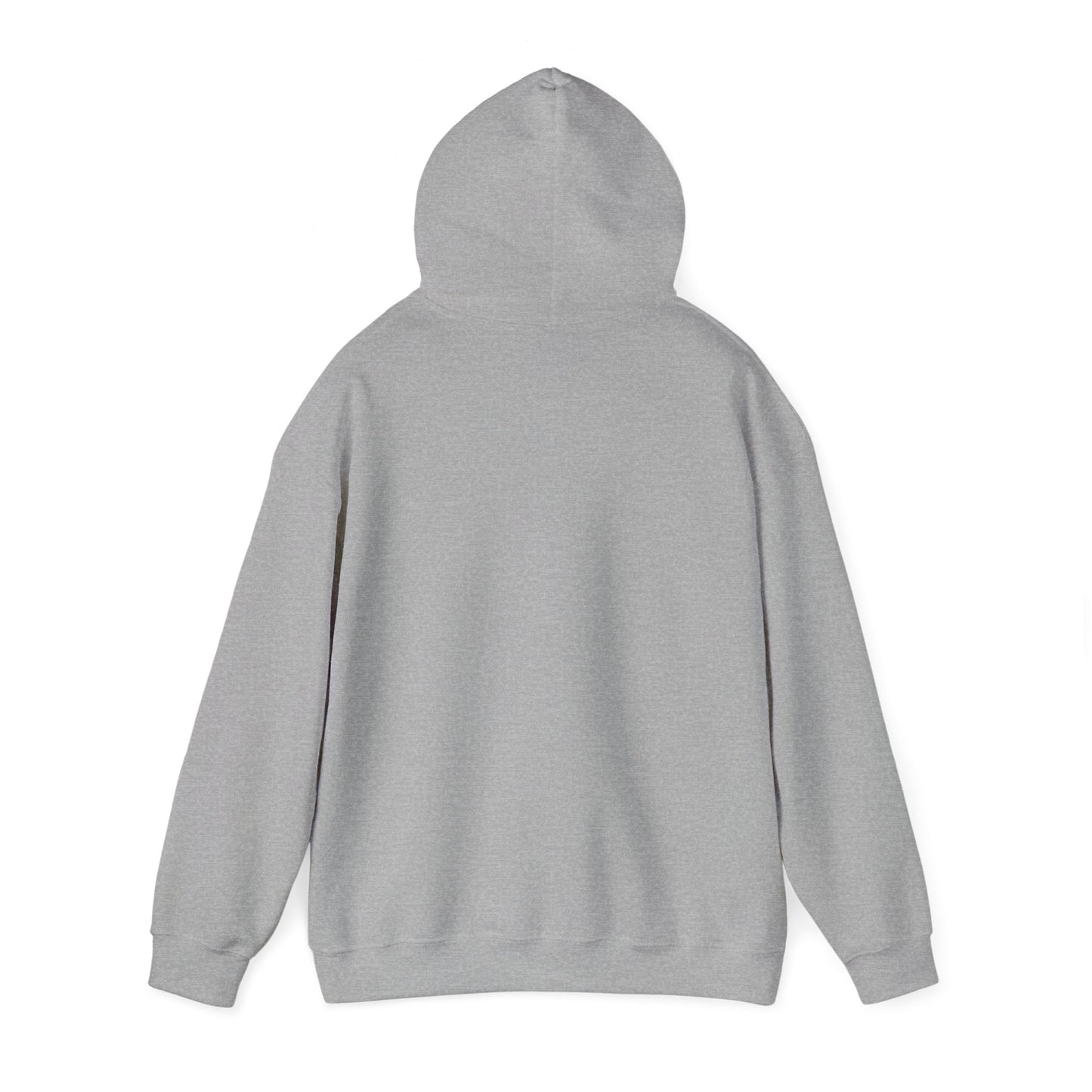 Profess Godliness Hooded Sweatshirt