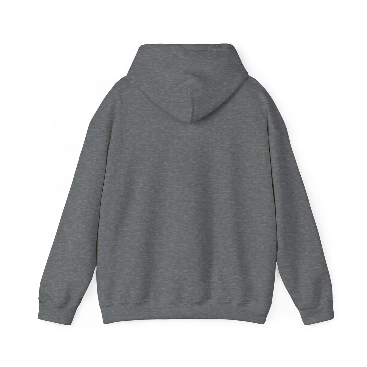 Profess Godliness Hooded Sweatshirt