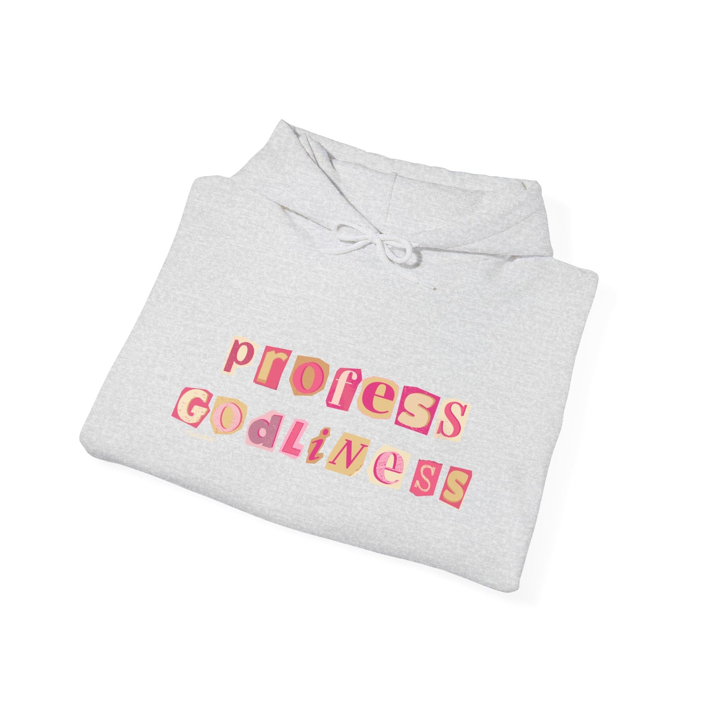 Profess Godliness Hooded Sweatshirt