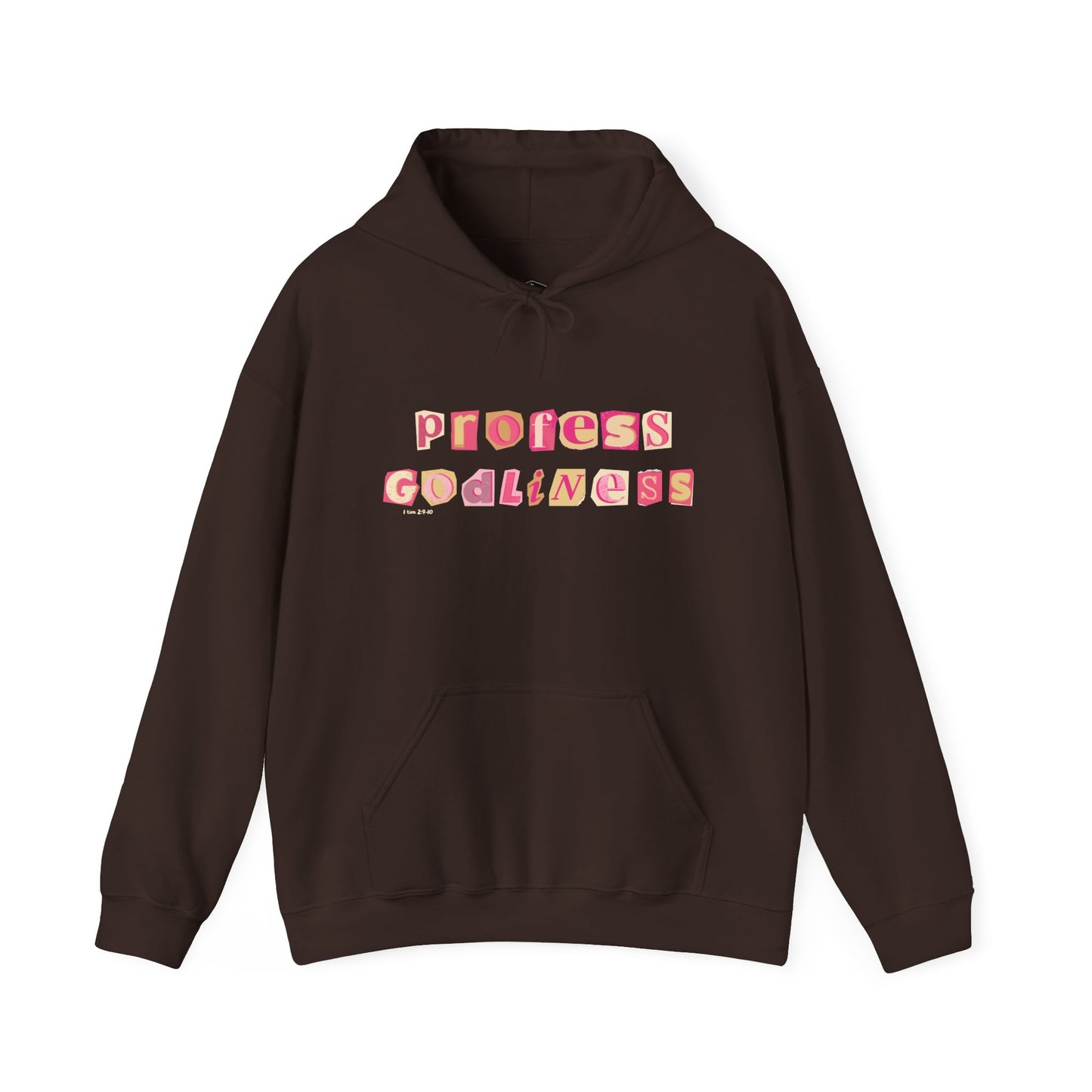 Profess Godliness Hooded Sweatshirt
