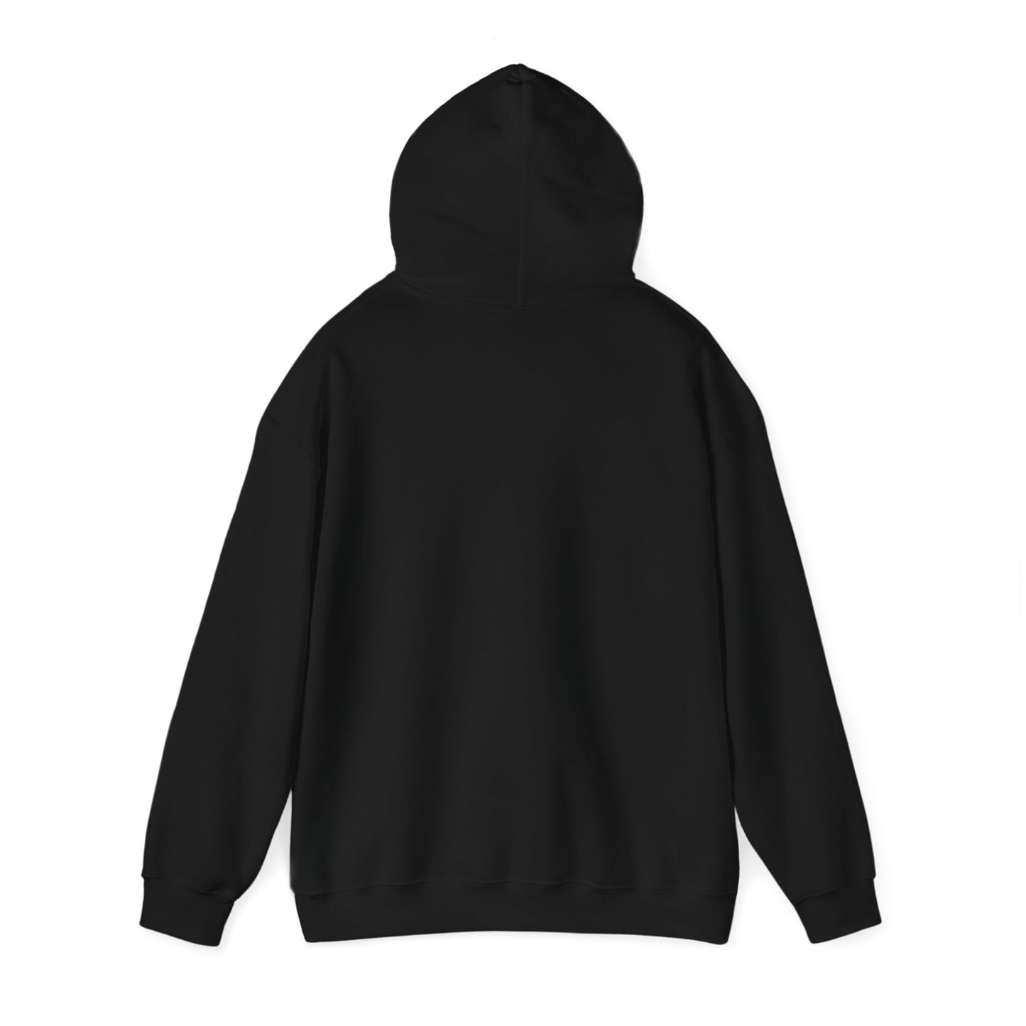 Profess Godliness Hooded Sweatshirt