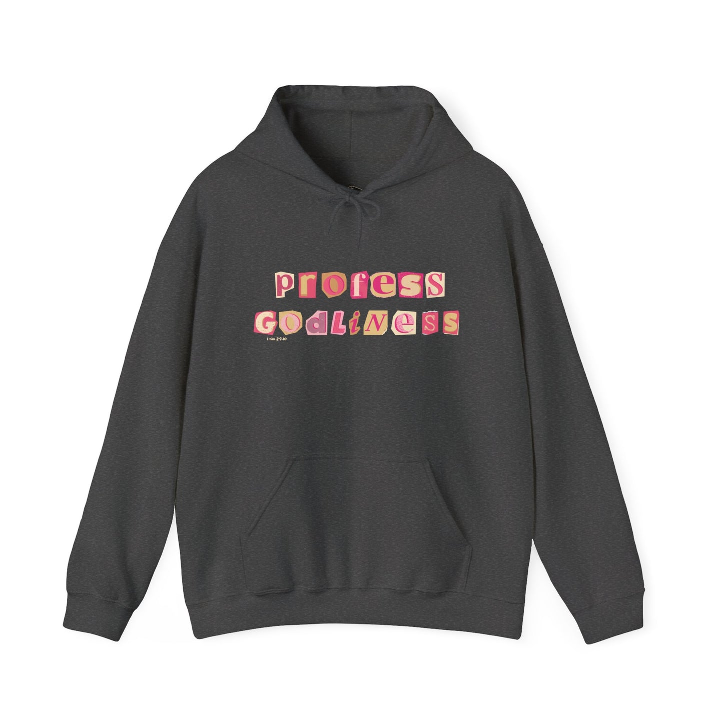 Profess Godliness Hooded Sweatshirt