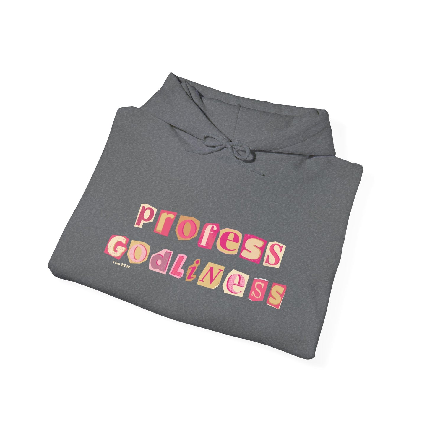 Profess Godliness Hooded Sweatshirt