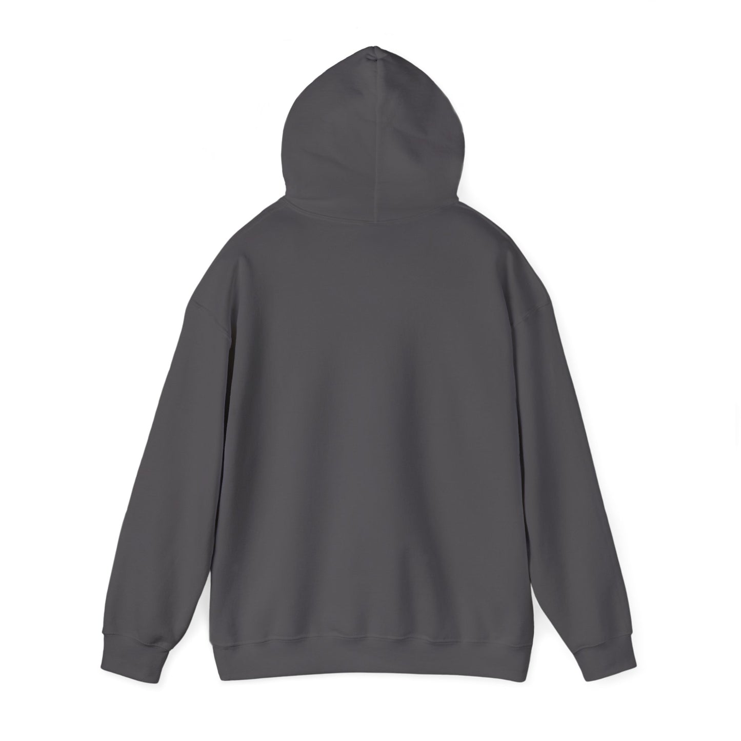 Profess Godliness Hooded Sweatshirt