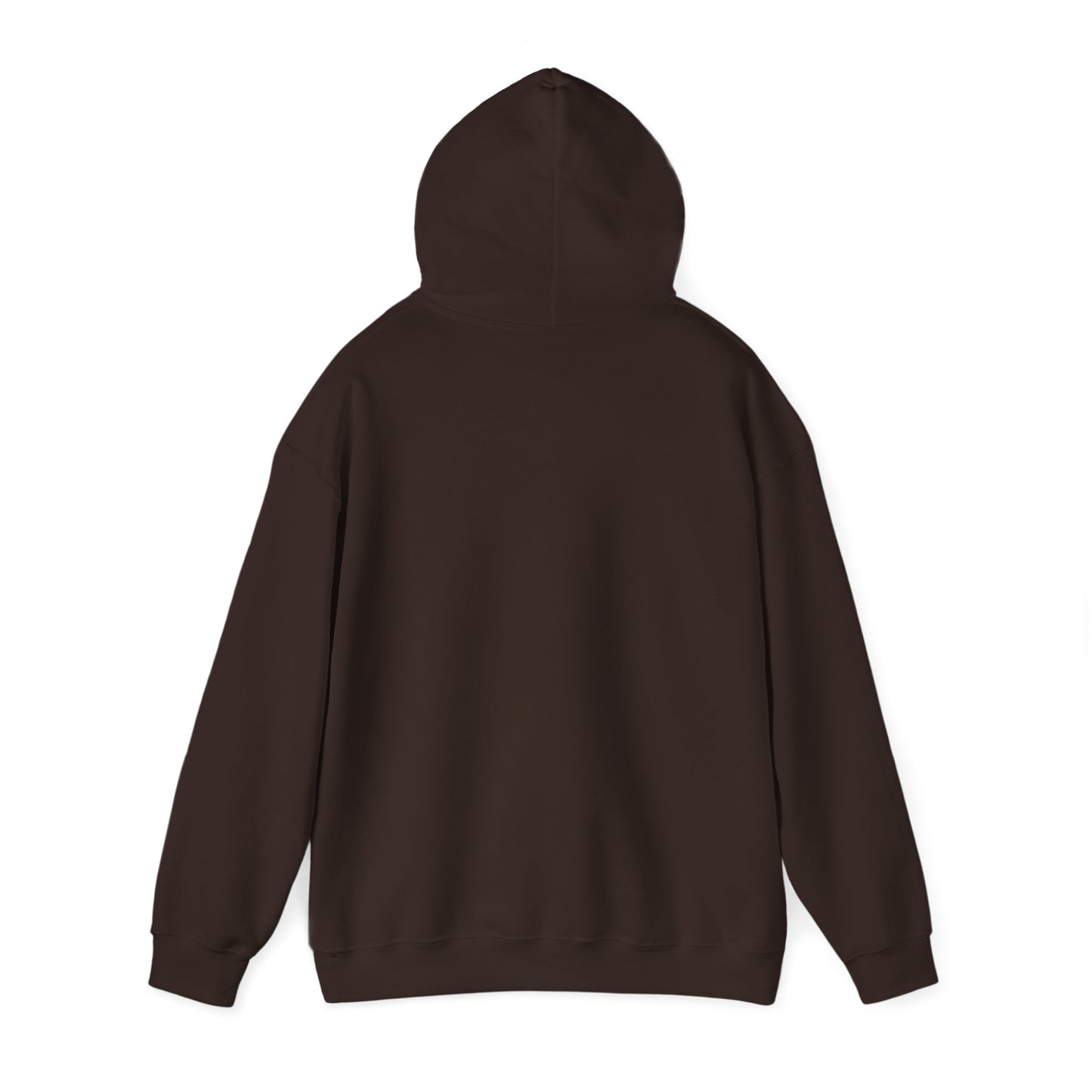 Profess Godliness Hooded Sweatshirt