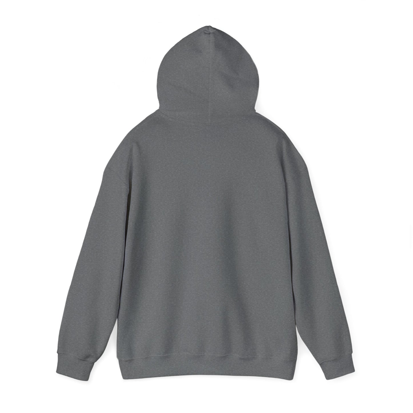 Profess Godliness Hooded Sweatshirt