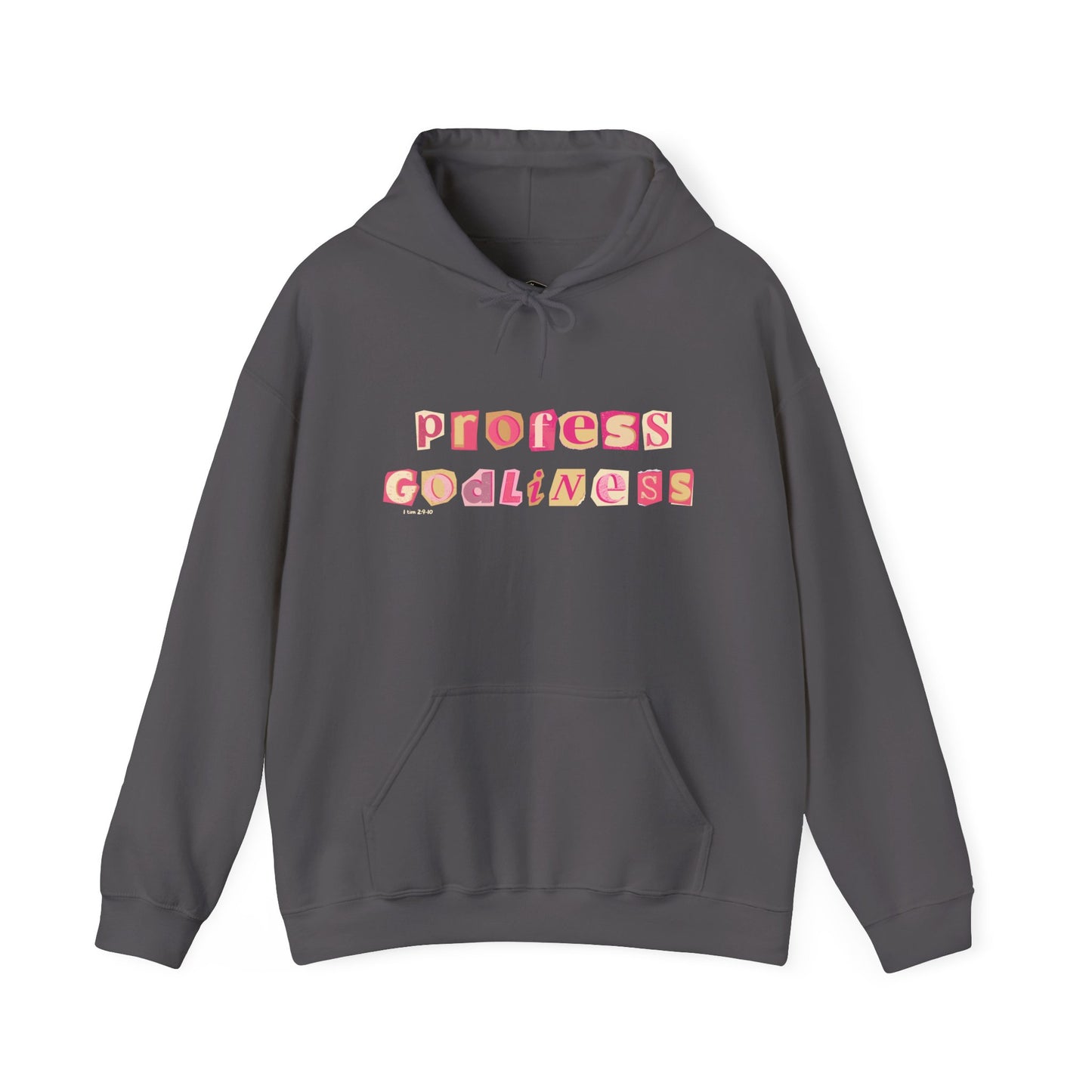 Profess Godliness Hooded Sweatshirt
