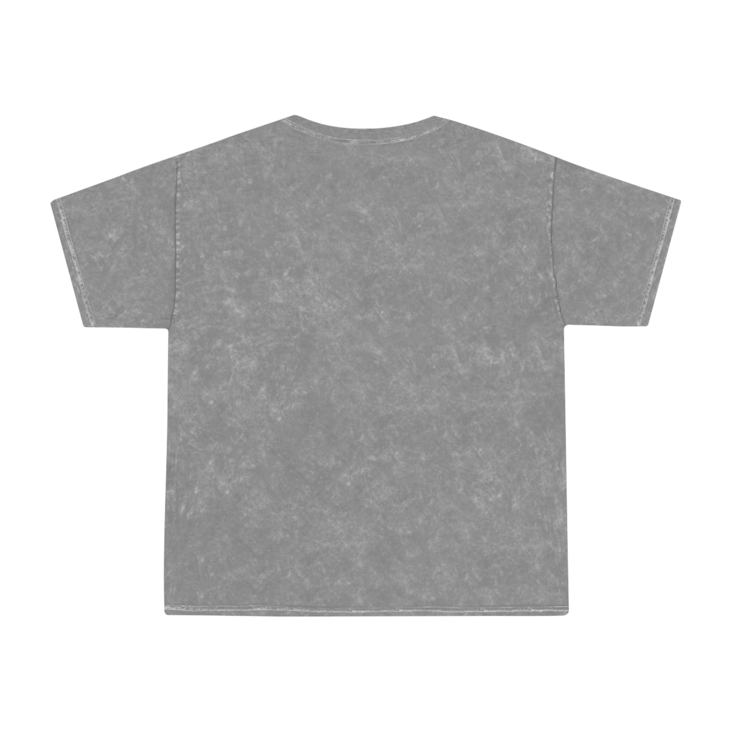 Profess Godliness Womens Mineral Wash Tee
