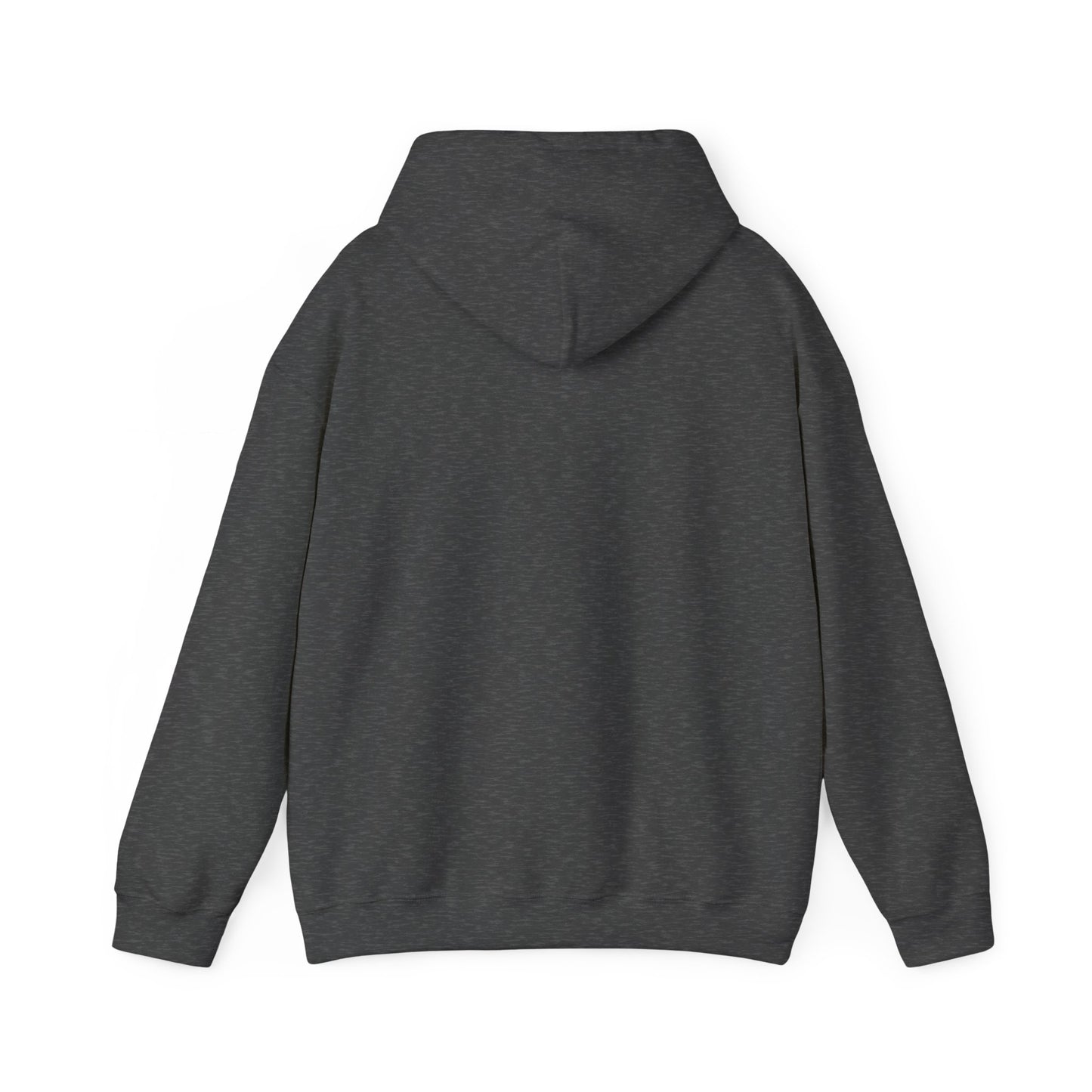 Profess Godliness Hooded Sweatshirt