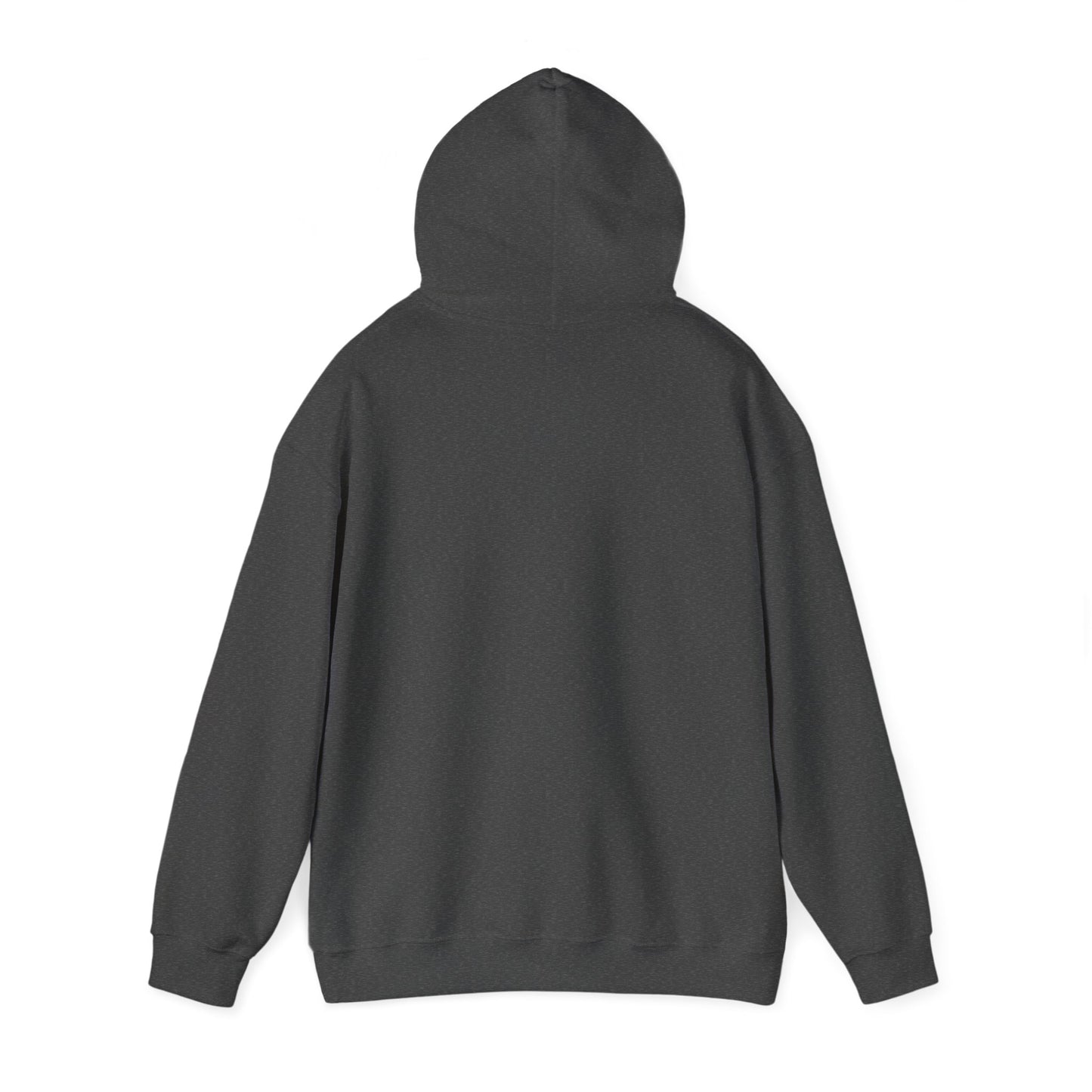 Profess Godliness Hooded Sweatshirt
