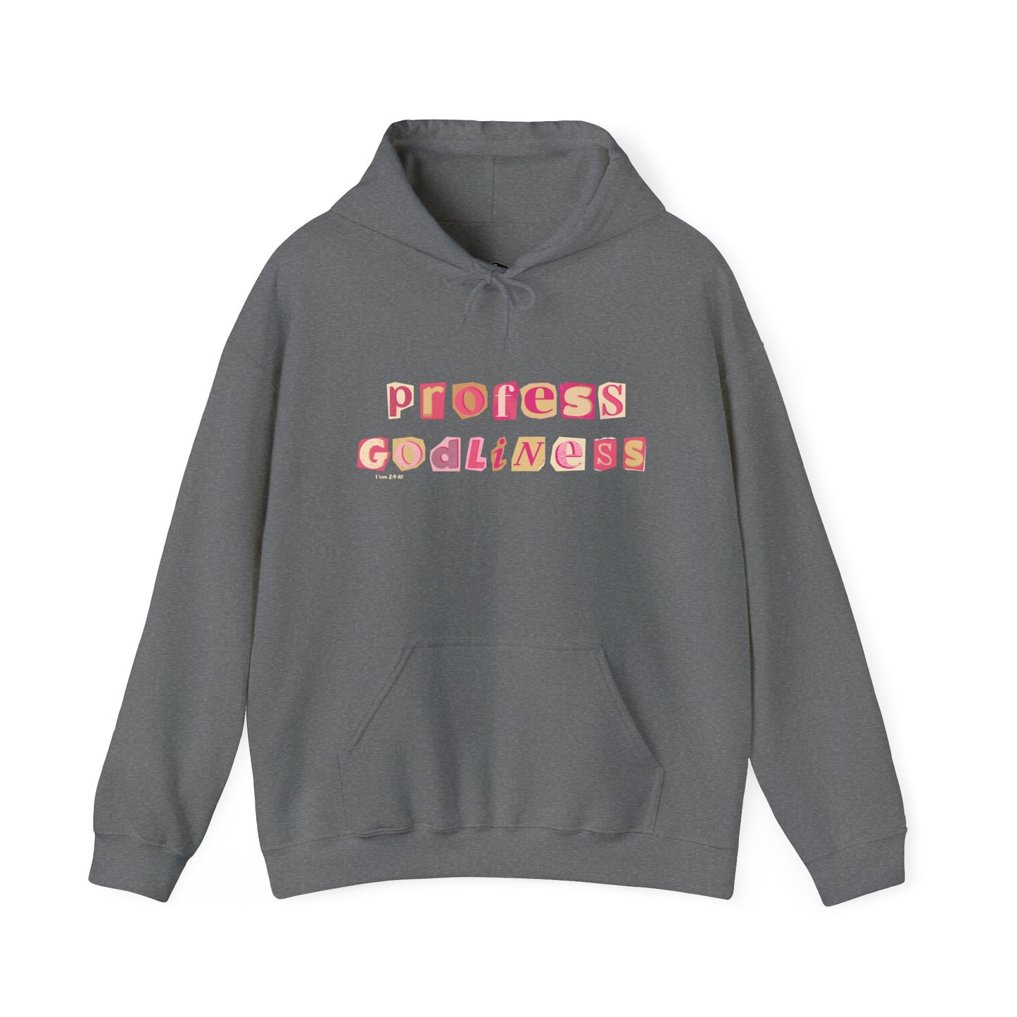 Profess Godliness Hooded Sweatshirt