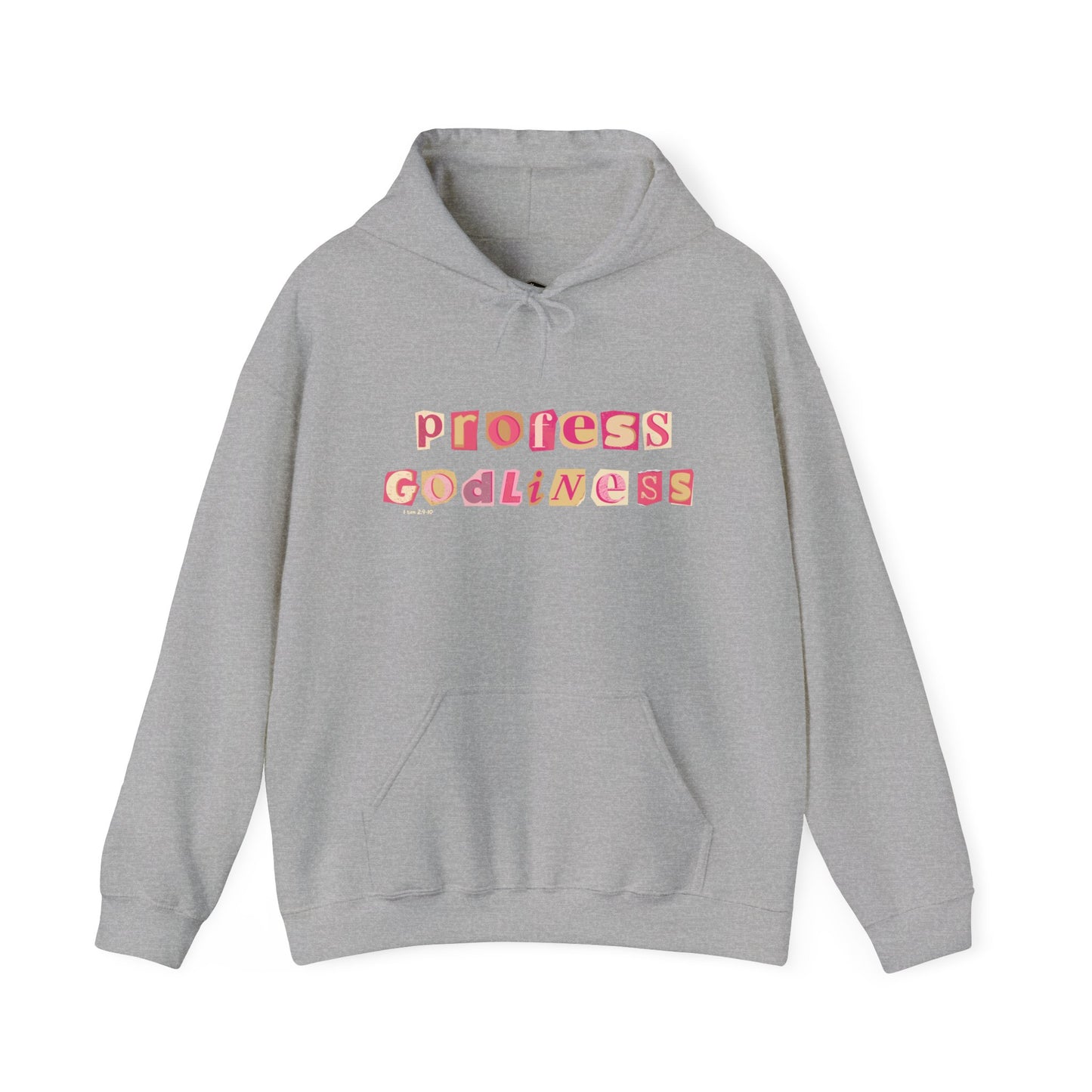 Profess Godliness Hooded Sweatshirt