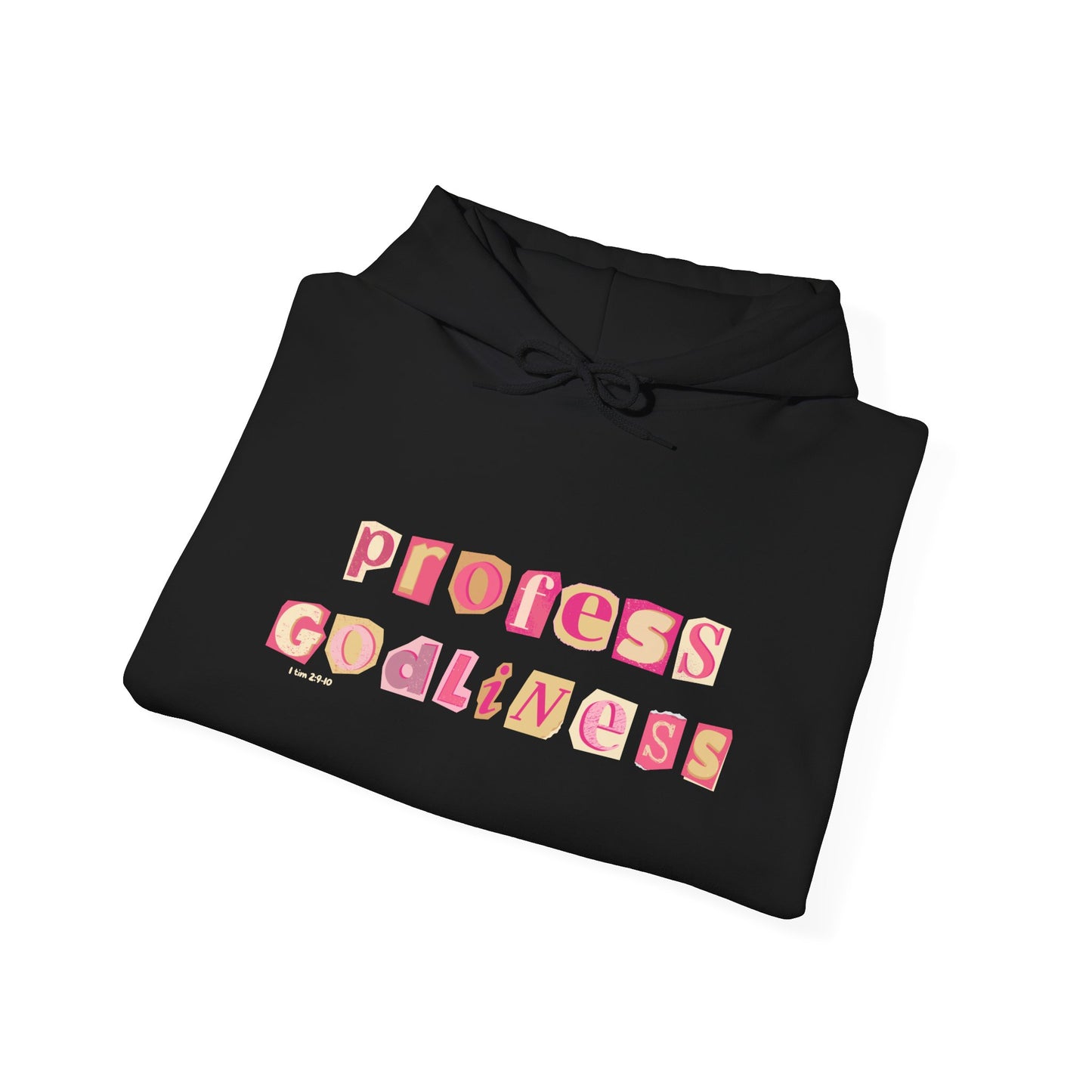 Profess Godliness Hooded Sweatshirt