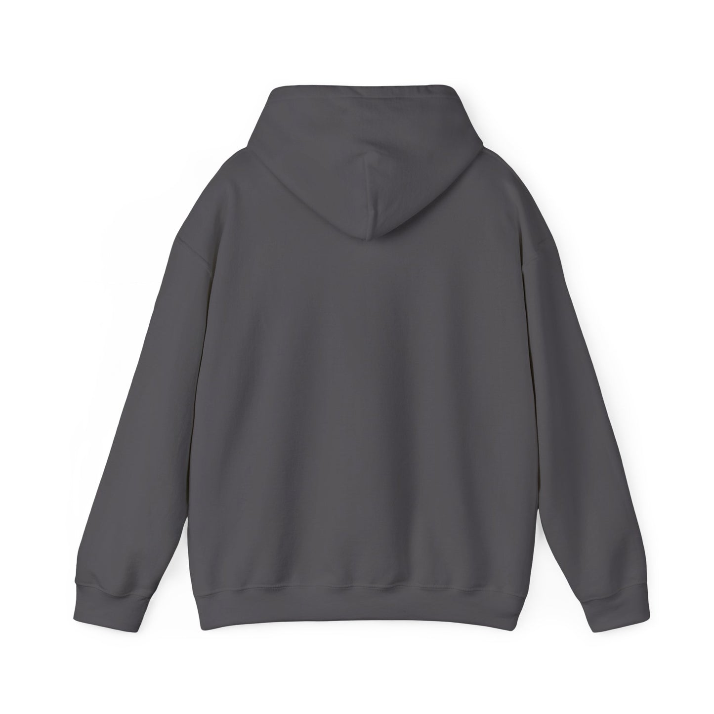 Profess Godliness Hooded Sweatshirt