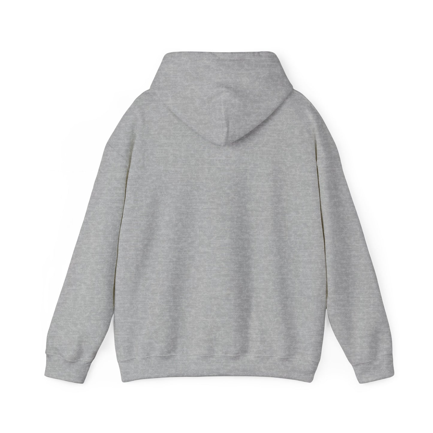 Profess Godliness Hooded Sweatshirt