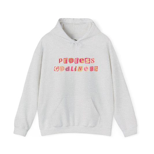 Profess Godliness Hooded Sweatshirt